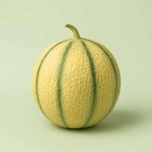 Melon France