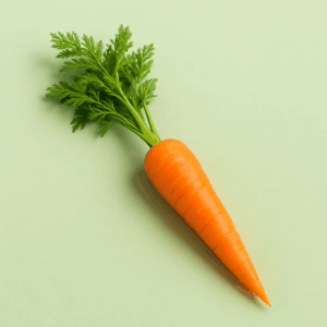 Carotte